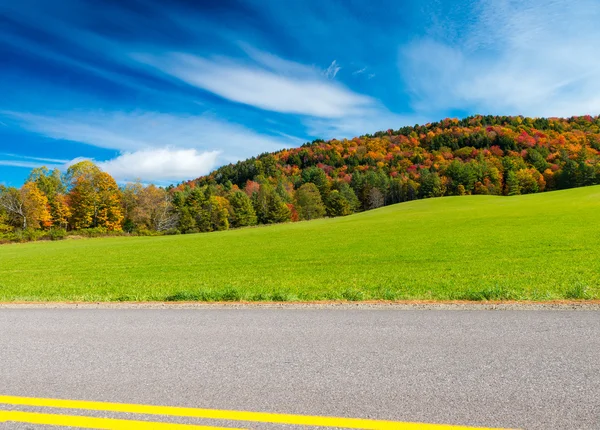 Estrada através da paisagem folhagem — Fotografia de Stock