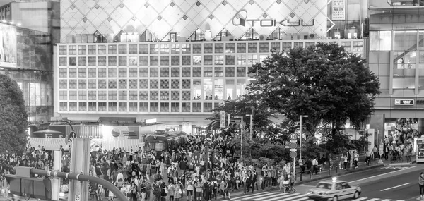 Shibuya-Überfahrt in der Abenddämmerung mit Touristen. — Stockfoto