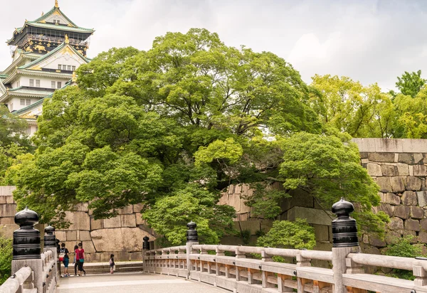 Fenséges kastély Osaka, Japán — Stock Fotó