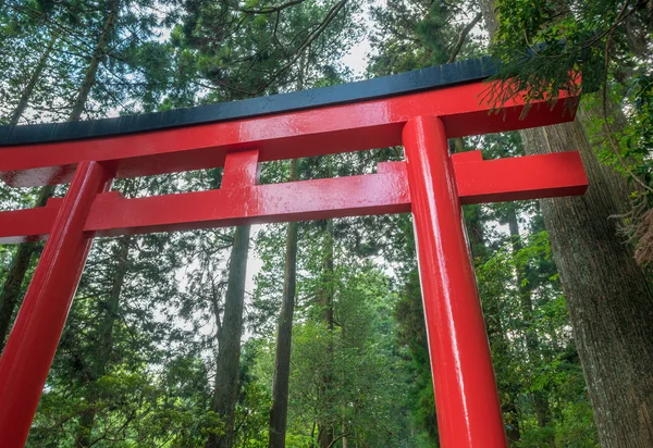 Hakone tapınak giriş kapısı, Japonya — Stok fotoğraf