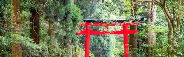 Brama wjazdowa świątyni Hakone, Japonia — Zdjęcie stockowe