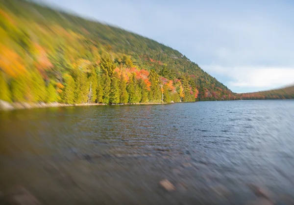 叶子的颜色和植被附近的一条河 — 图库照片