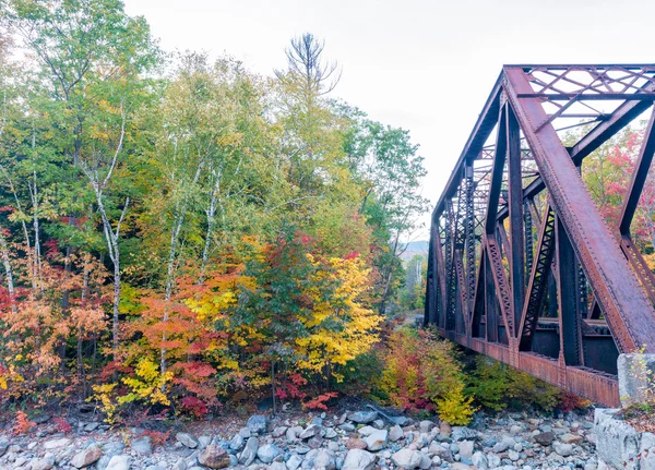 Rautatiesilta keskellä lehtiä, New England, USA — kuvapankkivalokuva
