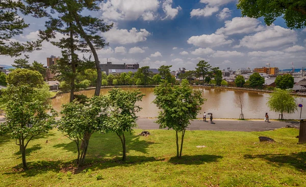 Lago en el parque de Nara, Japón — Foto de Stock