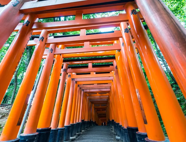 Santuário de Fushimi Inari em Kyoto — Fotografia de Stock