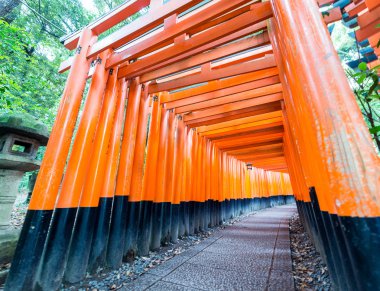 Kırmızı tori gate adlı fushimi Inari tapınak Kyoto, Japonya