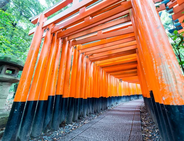 Puerta Roja de Tori en el Santuario Inari de Fushimi en Kyoto, Japón —  Fotos de Stock