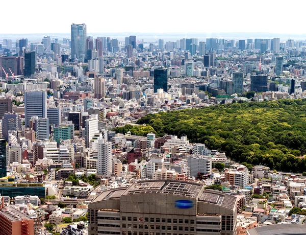 Tokyo épületek és a városi park, légifelvételek — Stock Fotó