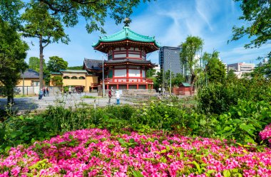 Shinobazu gölet, Tokyo tapınakta Benten-Do