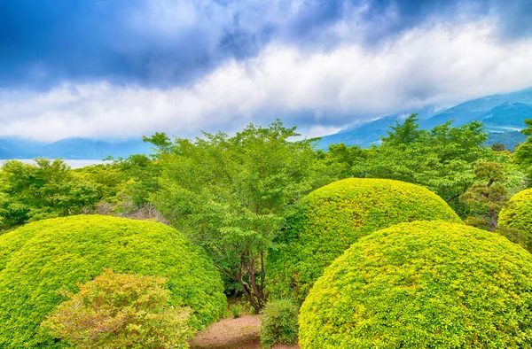 Onshihakone 公園 - 箱根、日本の庭園 — ストック写真