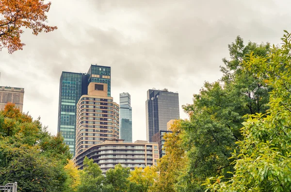 Hermosos colores de follaje de Nueva York Central Park — Foto de Stock