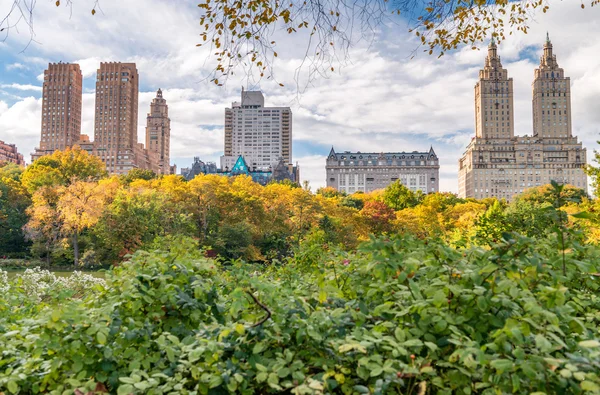 Красивые цвета листвы Центрального парка Нью-Йорка — стоковое фото