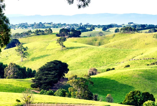 Campo del estado de Victoria, Australia — Foto de Stock