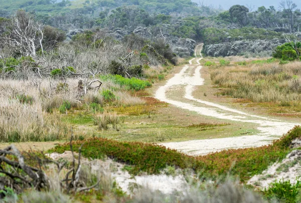 Road across Victoria countryside, Australia — Stock Photo, Image