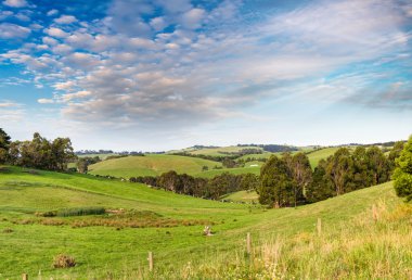 Wilsons Promontory kırsal
