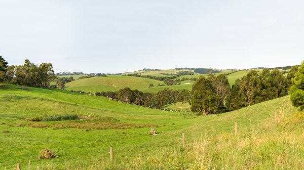 Закат над холмами Виктории
