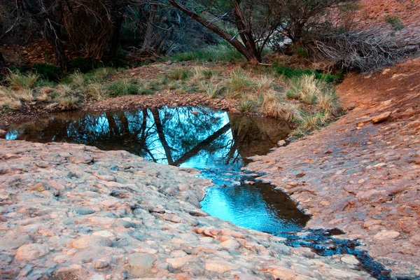 Naturaleza Outback australiana —  Fotos de Stock