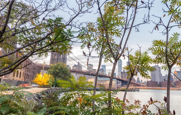 Brooklyn Bridge at dusk as seen from Brooklyn Park plants — Stock Photo, Image