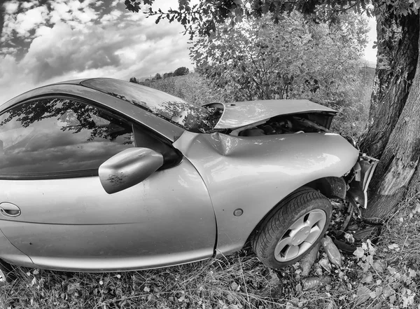 Car crash against a tree — Stock Photo, Image