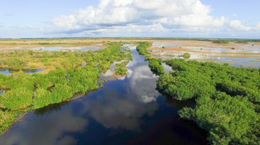Everglades bataklığı, Florida - ABD'ın genel görünümü