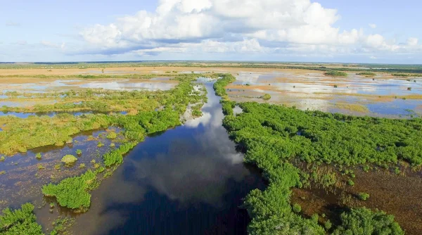 Overhead-Ansicht von Everglades Sumpf, Florida - USA — Stockfoto