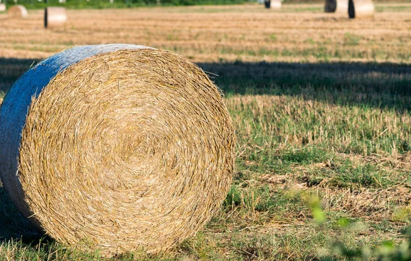 Hay Bales, Tuscany - Italy — Stock Photo, Image