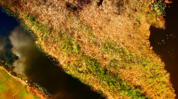 Everglades o zachodzie słońca, Florida - widok z lotu ptaka — Zdjęcie stockowe