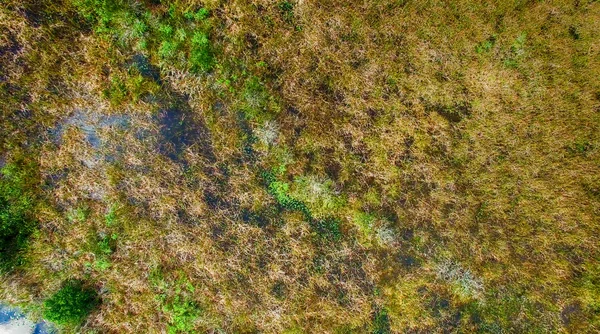 佛罗里达沼泽地的鸟瞰图 — 图库照片