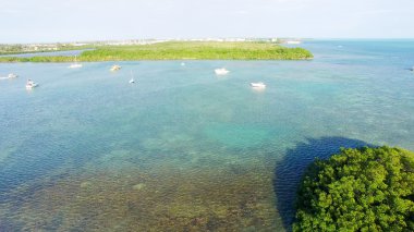 Mangrovlar ve okyanus, Key West - Florida - ABD havadan görünümü