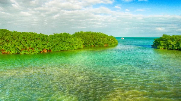 Vista aérea de los manglares y el océano, Key West - Florida - Estados Unidos — Foto de Stock