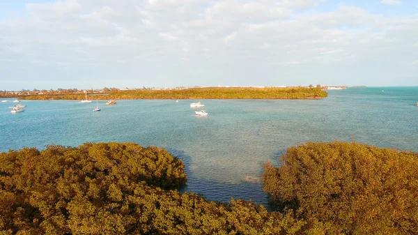 Luftaufnahme von Mangroven und Ozean, Key West - Florida - Vereinigte Staaten — Stockfoto