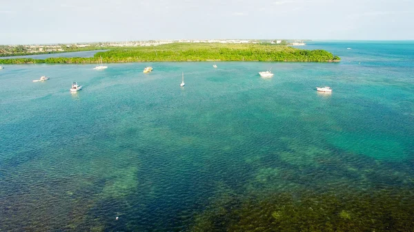 Mangrovlar ve okyanus, Key West - Florida - ABD havadan görünümü — Stok fotoğraf