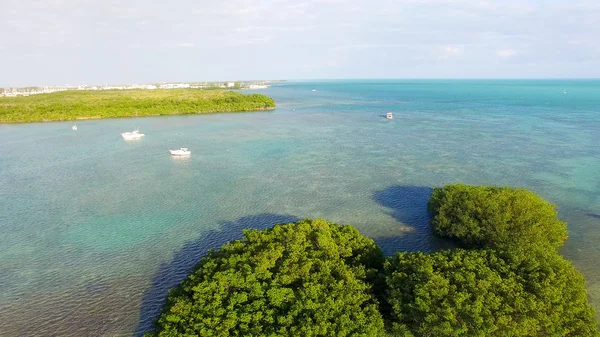 Mangrovlar ve okyanus, Key West - Florida - ABD havadan görünümü — Stok fotoğraf