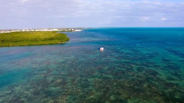 Luftaufnahme von Mangroven und Ozean, Key West - Florida - Vereinigte Staaten — Stockfoto