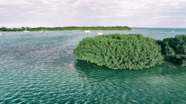 Mangrovlar ve okyanus, Key West - Florida - ABD havadan görünümü — Stok fotoğraf