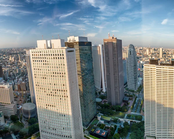 Tokyo, Japan. Flygfoto över Shinjuku byggnader vid solnedgången — Stockfoto