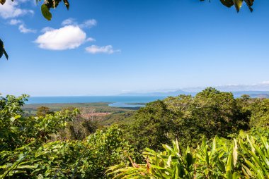 Avustralya bitkisinin hava manzarası, Queensland