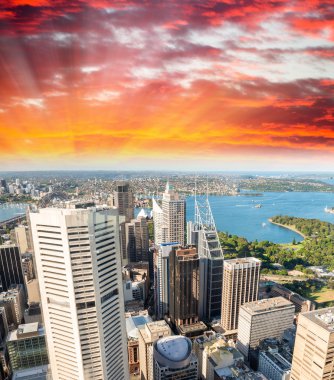 Sydney gökdelenler, havadan görünümü