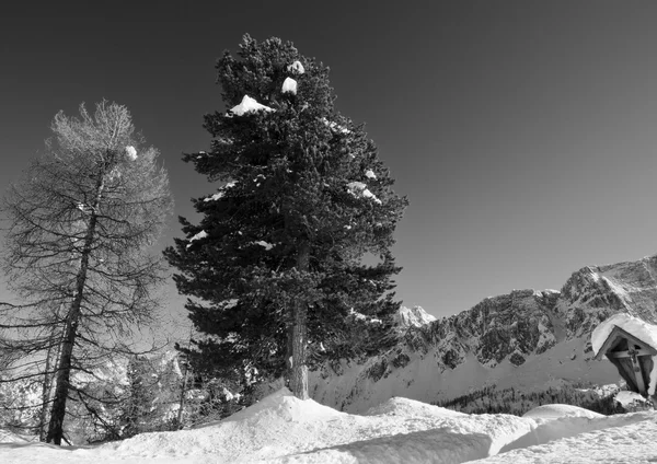 Paysage enneigé des Dolomites en hiver — Photo