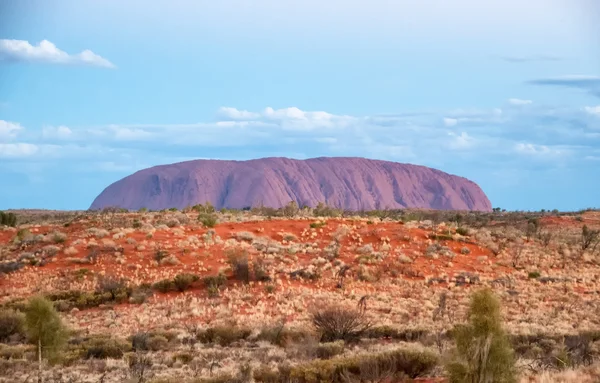 Australian Outback vegetation, Northern Territory — Stock Photo, Image