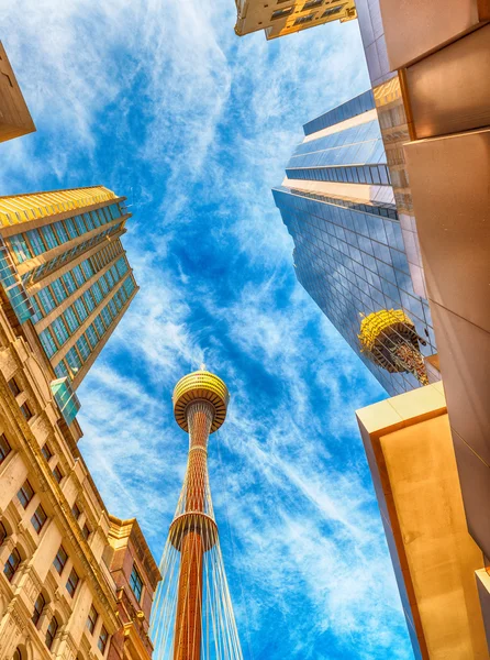 Sydney Tower a městské mrakodrapy — Stock fotografie