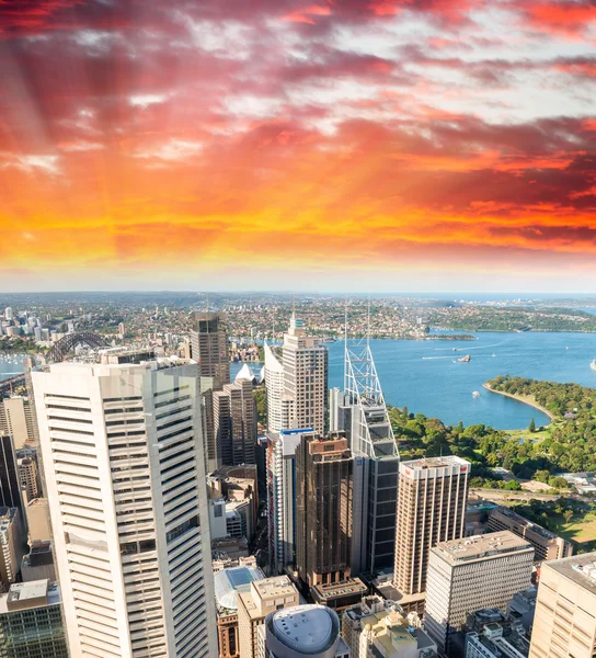 Sydney gökdelenler, havadan görünümü — Stok fotoğraf
