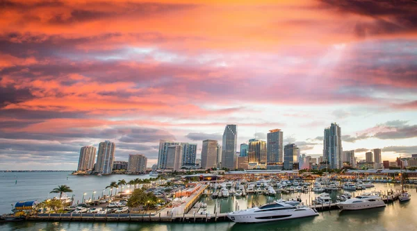 Erstaunliche Sonnenuntergangsfarben von Miami. Panoramablick auf die Innenstadt — Stockfoto