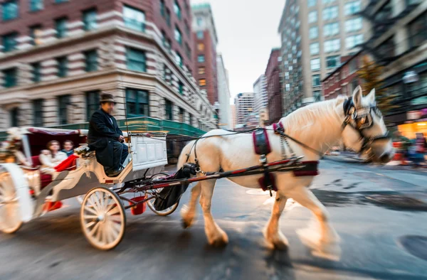 Carruaje de caballos tomando turistas — Foto de Stock