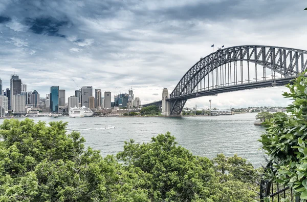 Sydney Harbour Bridge emoldurado por vegetação - Nova Gales do Sul - A — Fotografia de Stock