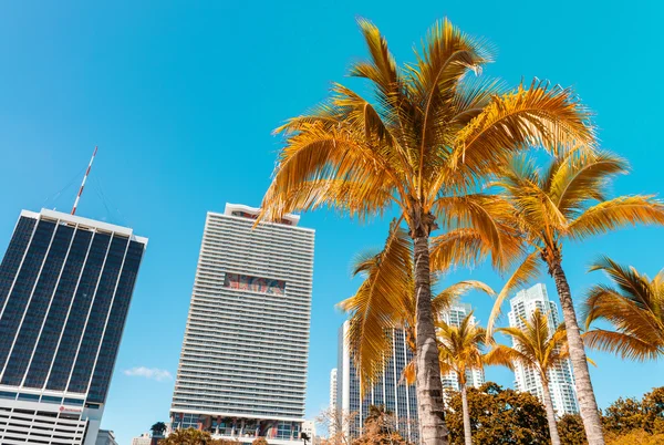 MIAMI - 25 DE FEBRERO DE 2016: Hermoso horizonte de la ciudad. Miami hit rec — Foto de Stock