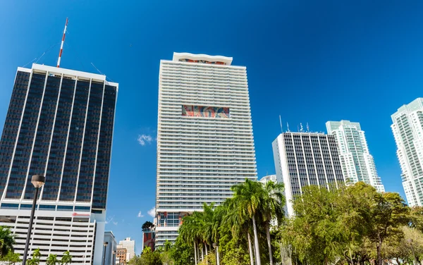 Downtown Miami i solnedgången, Florida — Stockfoto