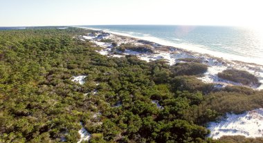 Cape San Blas kıyı şeridi, Florida havadan görünümü