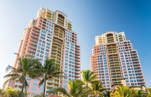 Edifici e palme di Miami — Foto Stock