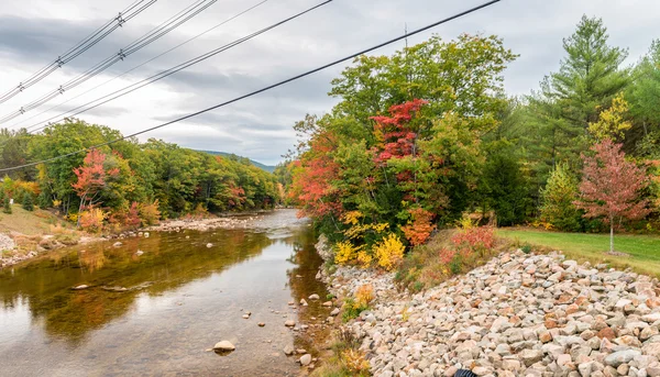 New England foliage season. Forest and water — Stock Photo, Image